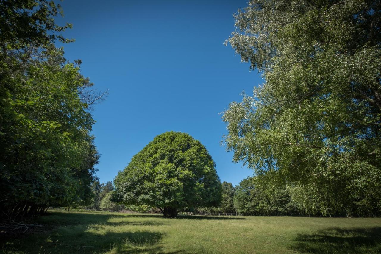 Hotel Domaine De Malouzies Fonties-Cabardès Exteriér fotografie